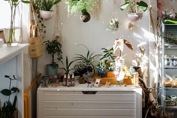 decorative planting